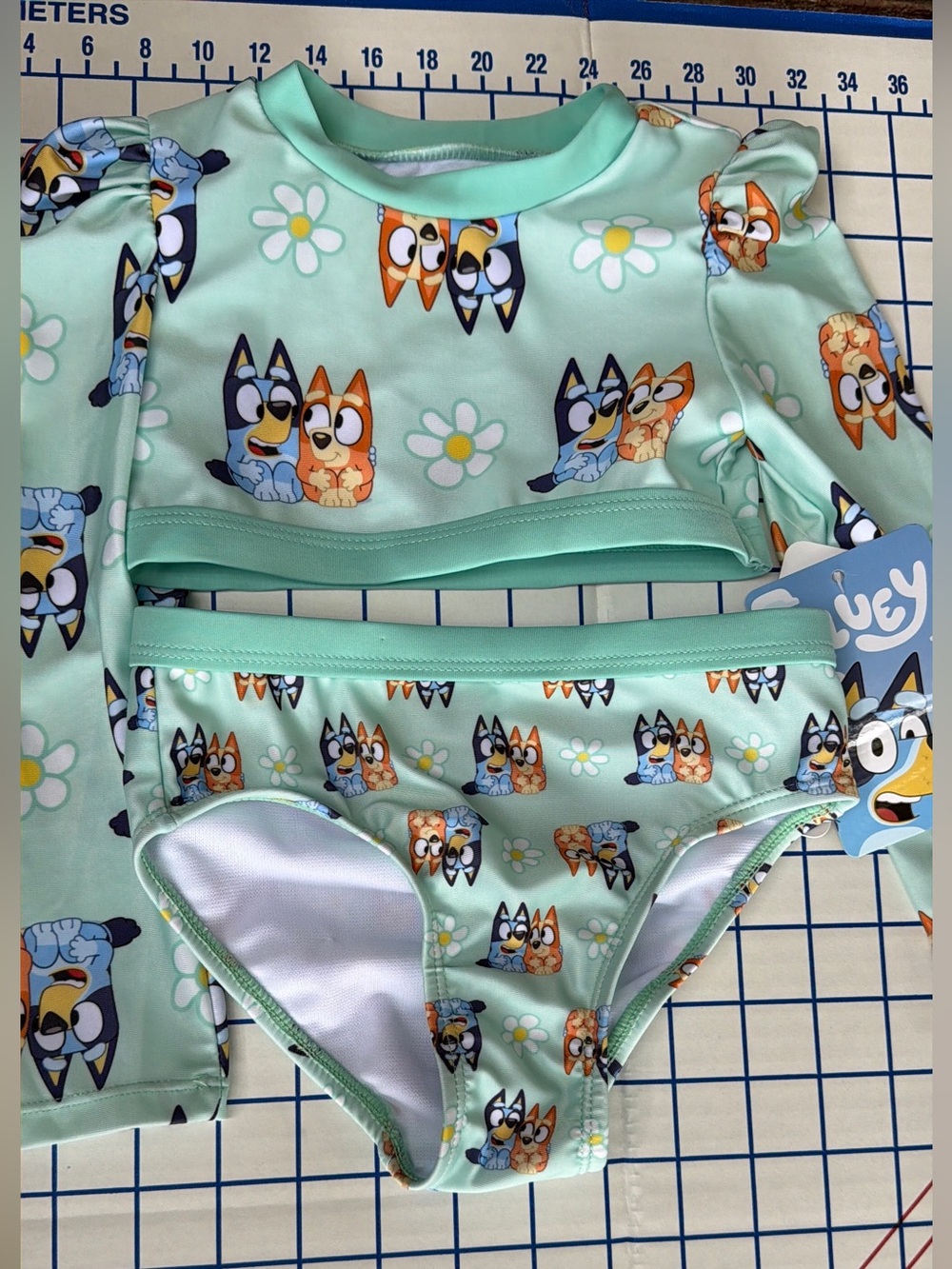 Kids Bluey Mint Green Two-Piece Swim Set - Mint Green